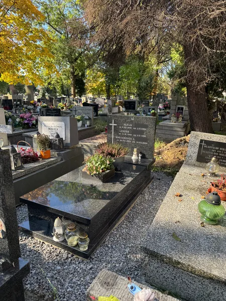 Czarny nagrobek Impala z tablicą inskrypcyjną na trzy osoby wśród jesiennego starodrzewia cmentarza w Krakowie, realizacja Kamileo.